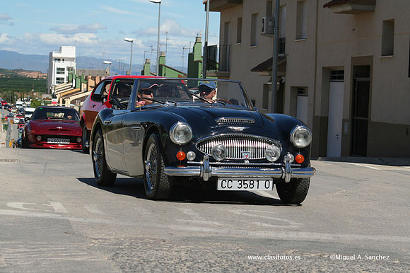 Chiva174