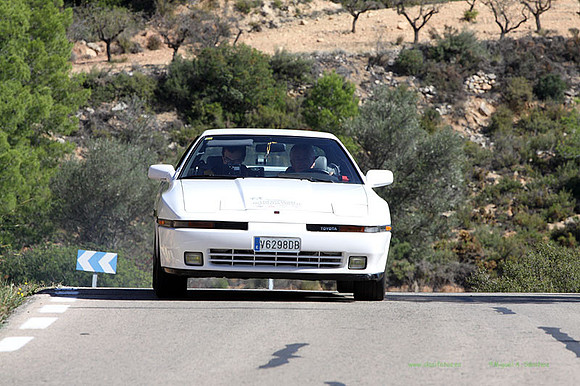 Tourist Trophy448