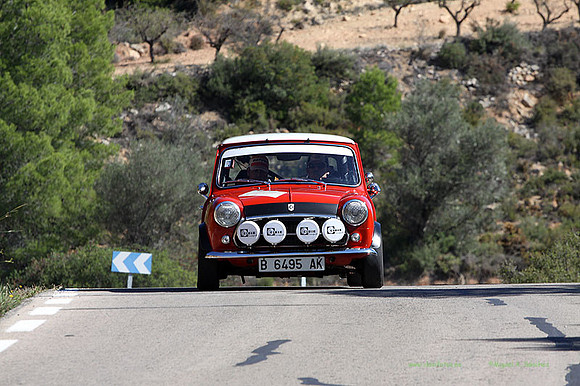 Tourist Trophy319