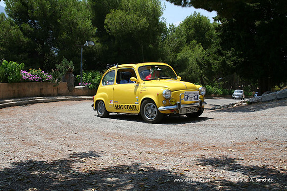 ConcentracionDenia2006175
