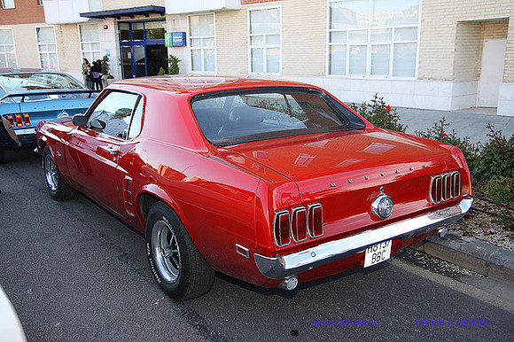 CabalgadaMustang356