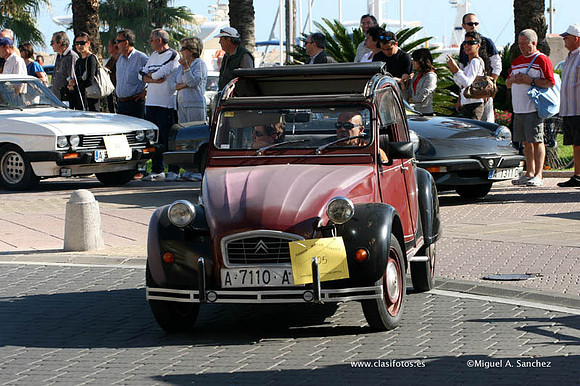 VConcGandia264