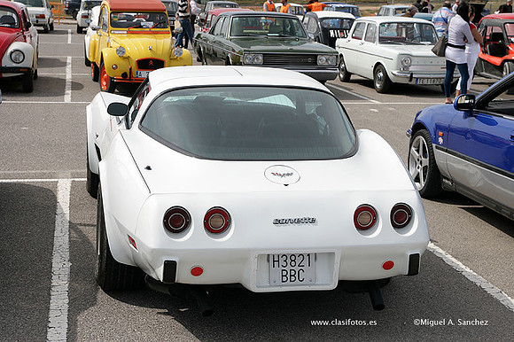 AnticAuto2010366