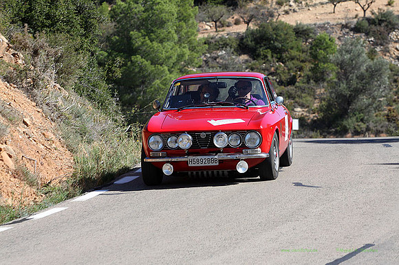 Tourist Trophy315