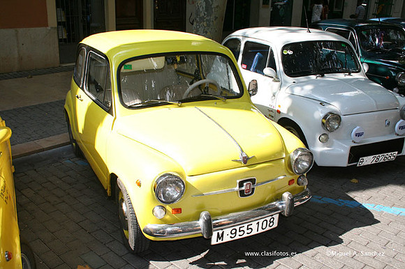ConcentracionDenia2006124