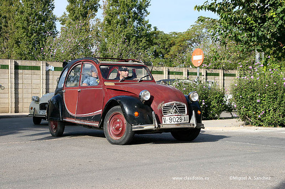 IConcentracionSollana0152