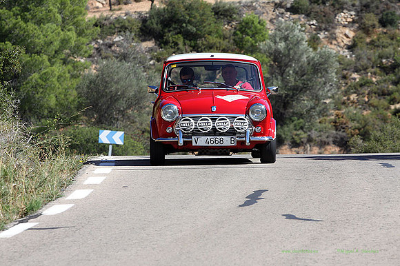 Tourist Trophy479