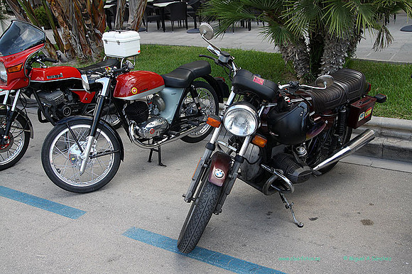 IIConcMoraira052