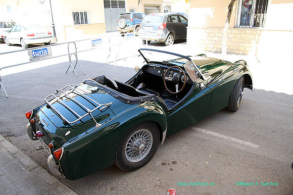 IConcentracionMacastre085