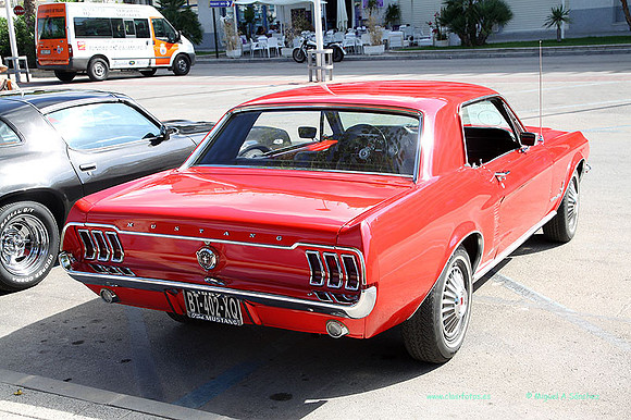 IIConcMoraira077