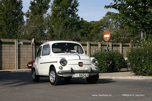 IConcentracionSollana0231