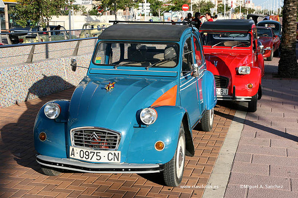 VConcGandia014