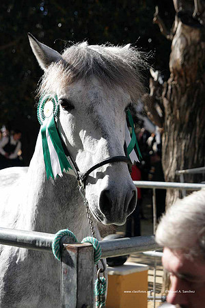 Benissa2011_188
