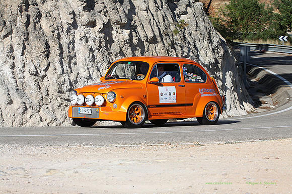 Tourist Trophy295