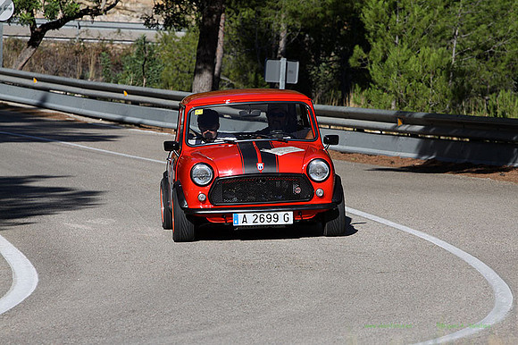 Tourist Trophy282