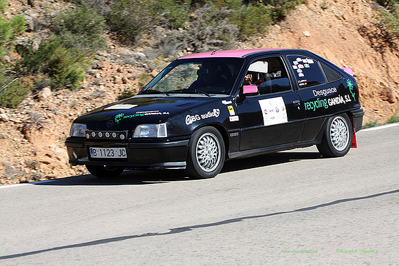 Tourist Trophy310
