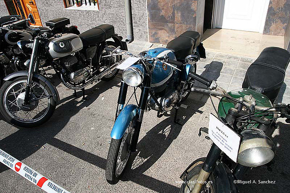 Rotova2009084