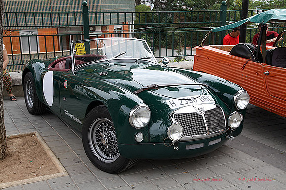 IIConcChiva043