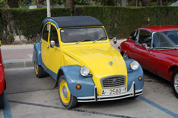IIConcMoraira035
