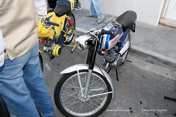 Rotova2009066