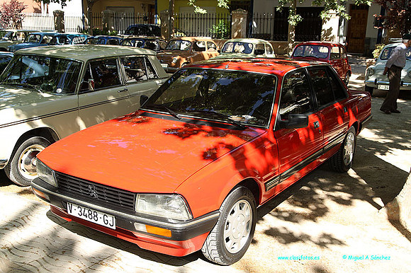X Conc Utiel096