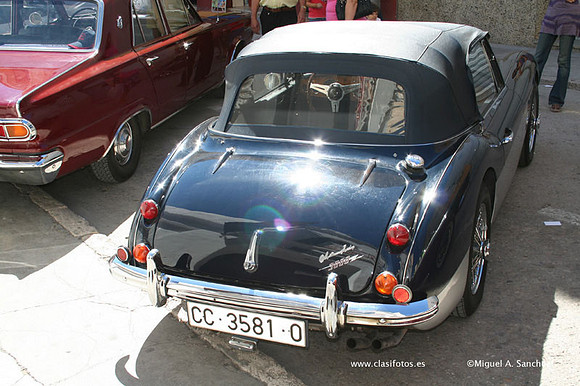 Chiva110