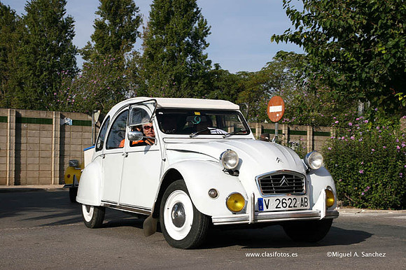 IConcentracionSollana0161