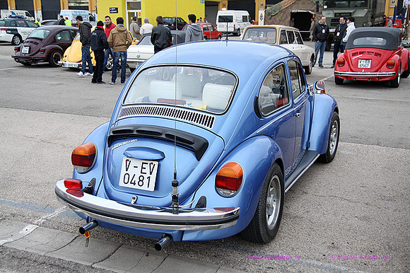 XIJornadas Ed Especial cheste0028