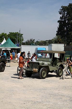 MuseoVivo2012010