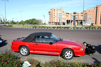 CabalgadaMustang361