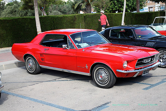 IIConcMoraira083