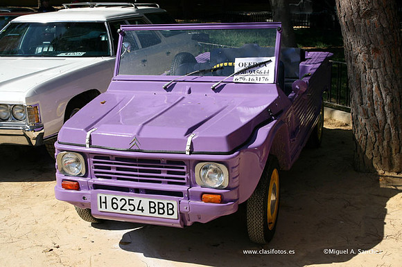 AutoRetroMurcia20070049
