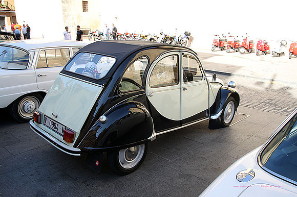XCocConcentaina039