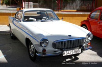 Chiva017
