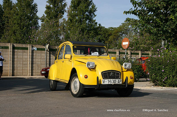 IConcentracionSollana0164