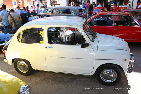 Chiva077