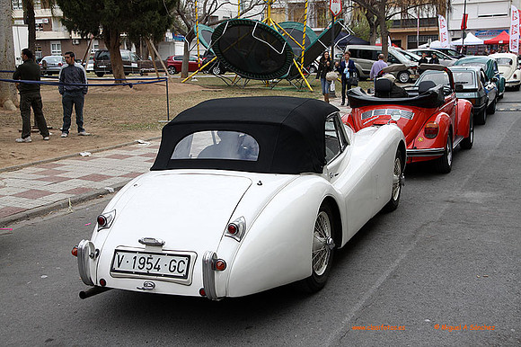 AgroGuadassuar0060