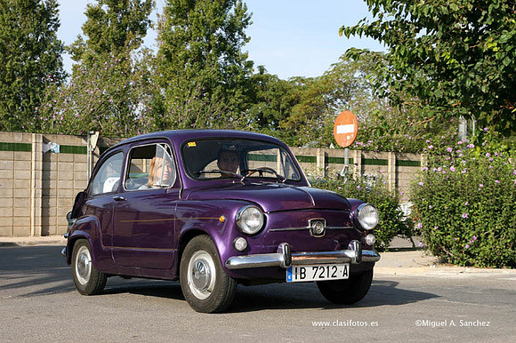 IConcentracionSollana0225