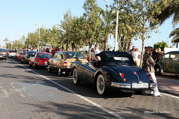 VConcGandia181
