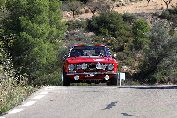 Tourist Trophy312