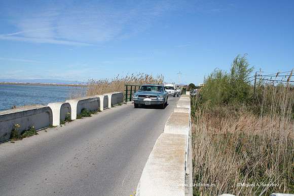 RondaFallera200612marzo063