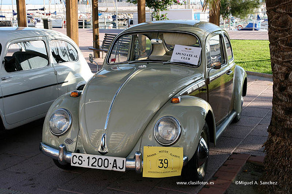 VConcGandia068