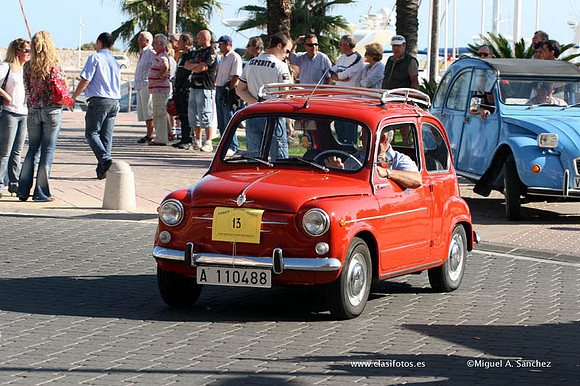 VConcGandia289