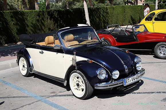 IIConcMoraira124