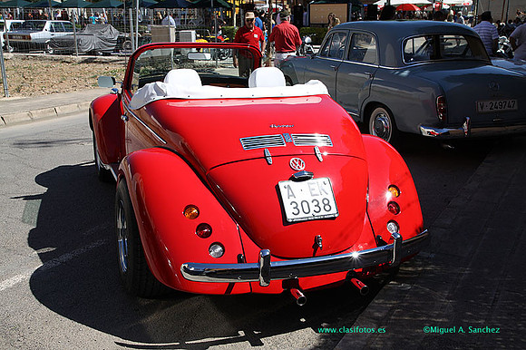 IConcentracionMacastre029