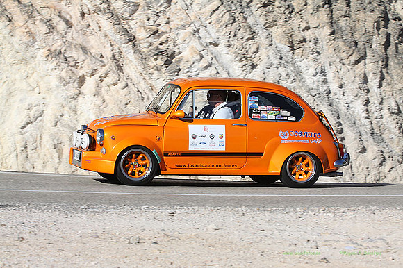 Tourist Trophy296