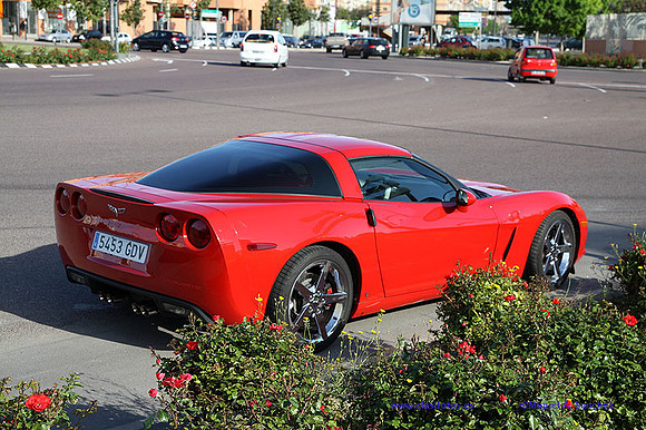 CabalgadaMustang363