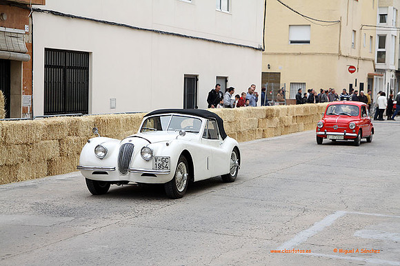 AgroGuadassuar0053