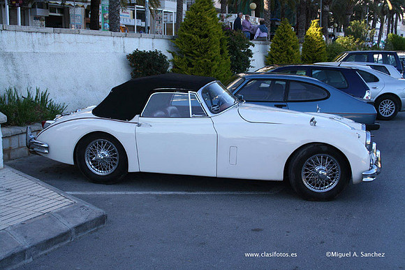 IIIAnticAuto631
