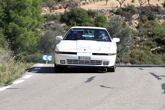 Tourist Trophy449